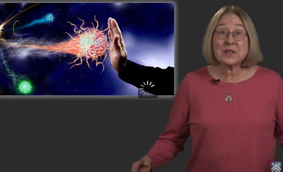 免疫学基础教学视频