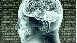 ֪񾭿ѧγ-̨塰廪ѧ