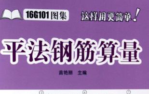 ֽ16G101 ͼƵ