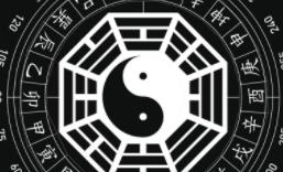 杨春义易经六爻占卜术教学