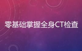 ȫCT̳