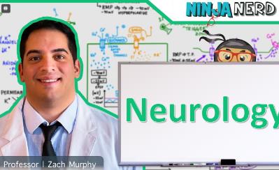 Ninja Nerd | Neurologyѧγ