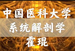 ϵͳѧ--йҽƴѧƵѧ