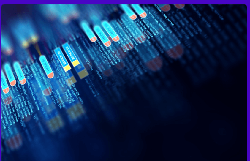 2019 python全栈工程师培训视频 image.png