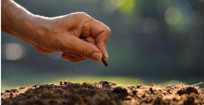 华中农业大学:土壤学课程 华中农业大学:土壤学课程