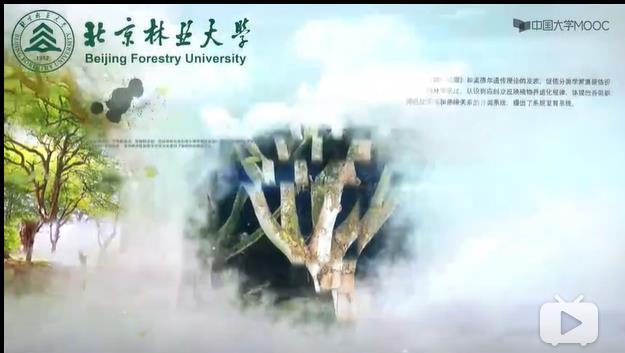 树木学教学视频 树木学教学视频
