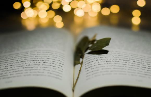 看故事学英语 看故事学英语