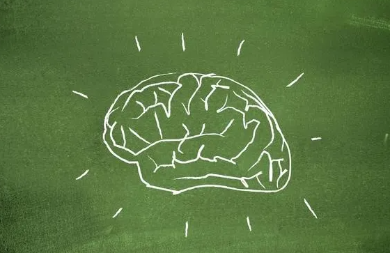 2020AP ѧ Psychology