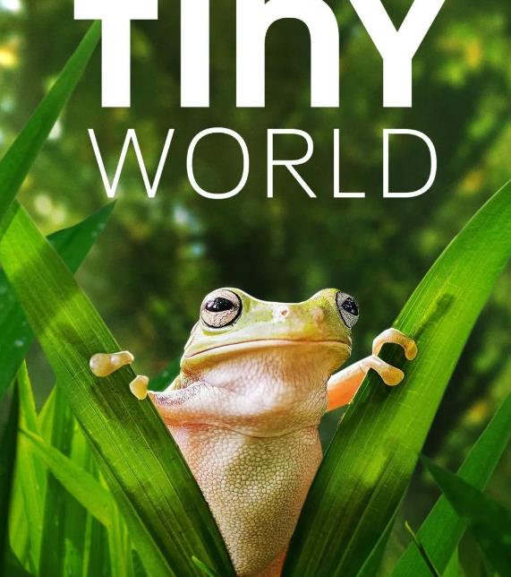 Tiny WorldСС1-2Ӣİ-ǳ