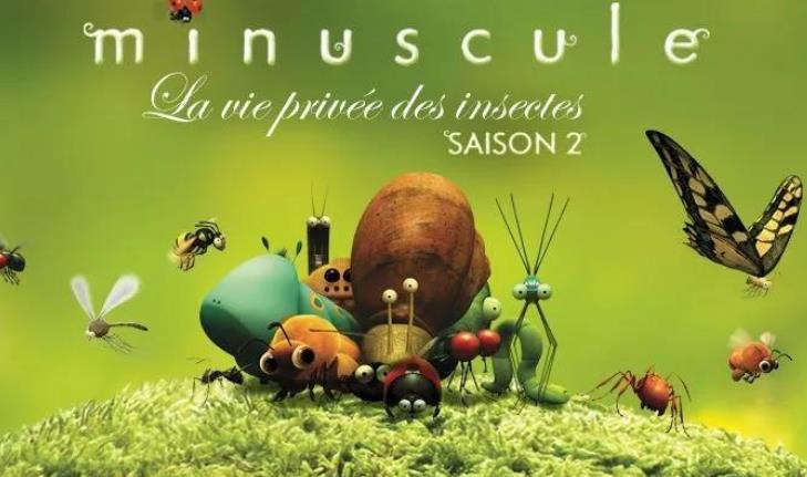 《微观小世界V:昆虫总动员》117集全简介 《微观小世界V:昆虫总动员》117集全简介