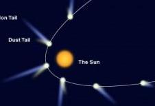 ������ѧ��Բ˫����������ר��