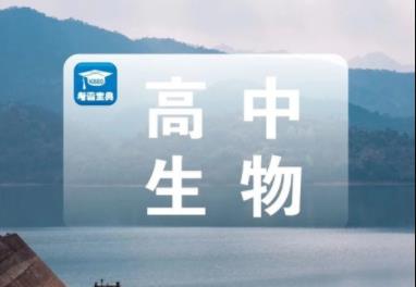 ��������ͬ���θ�������