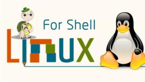 linux  Shell脚本编程基础教程