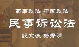 【西南政法|中国政法】民事诉讼法精品课（全144讲）