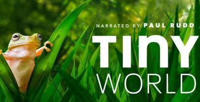 《Tiny World》小小世界1-2季中英文版-非常棒