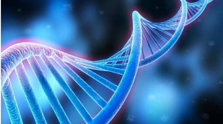 高中生物基础复习辅导视频 高中生物基础复习辅导视频